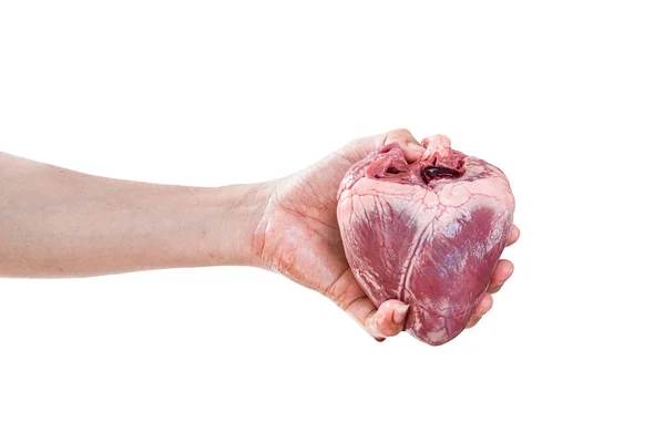 Coração Humano Mão Isolado Sobre Fundo Branco Com Caminho Recorte — Fotografia de Stock