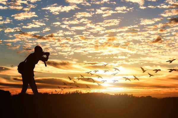 Silhuett Manlig Fotograf Tar Bild Mot Solnedgången Med Flock Fåglar — Stockfoto