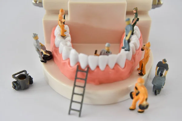 miniature people to repair a tooth or small figure worker cleaning tooth model as medical and healthcare. cleaning dental care or dentist concept.