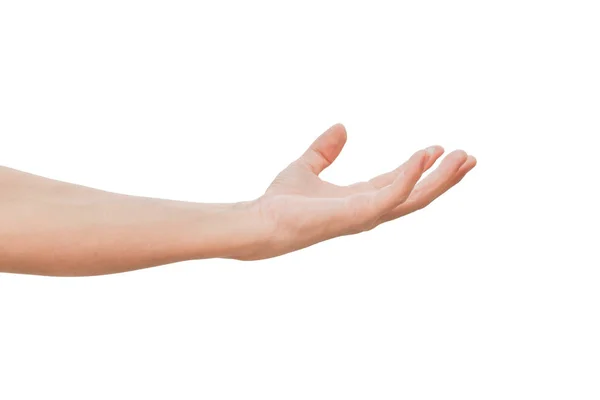 Inverted Palm Isolated On White Background With Clipping Path Flat Hand Finger One Stock Photo Inverted Palm Isolated On White Background With Clipping Path Flat Hand Finger One Stock Photo