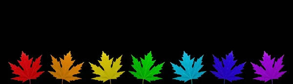 Isolated Leaves Rainbow Colors — Stock Photo, Image