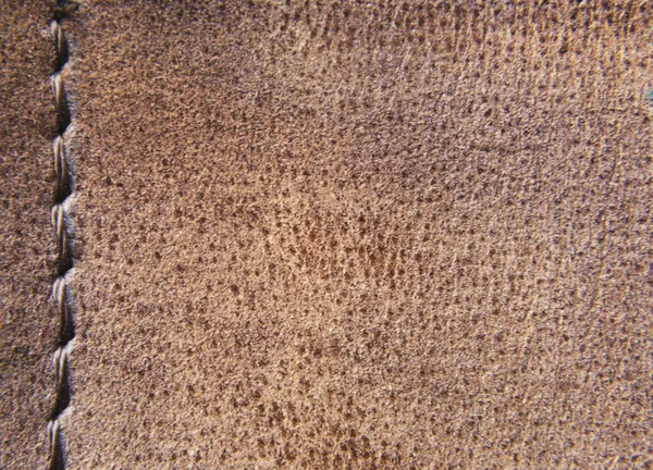 Leather Texture Close — Stock Photo, Image