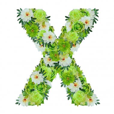 Yeşil ve beyaz çiçekleri beyaz wor ile izole harf X