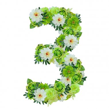 Yeşil ve beyaz çiçekleri beyaz wor ile izole 3 numaralı