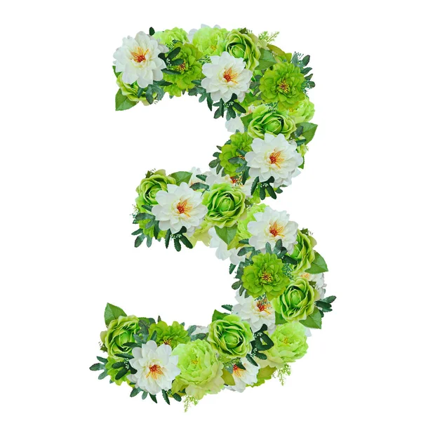 Yeşil ve beyaz çiçekleri beyaz wor ile izole 3 numaralı