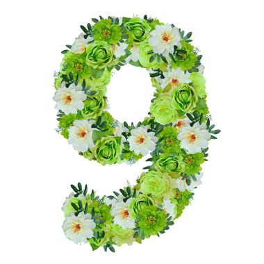 Wor ile beyaz izole yeşil ve beyaz çiçekler arasında sayı 9