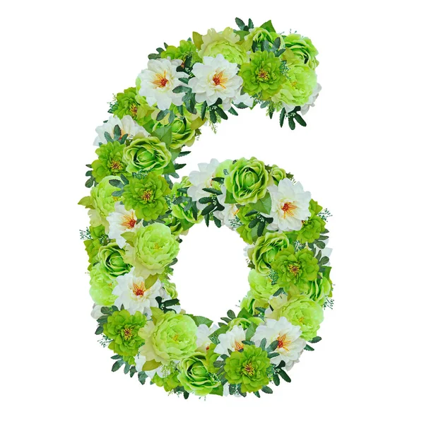 Yeşil ve beyaz çiçekleri beyaz wor ile izole 6 numaradan