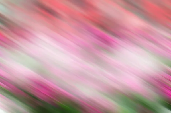 Colorful abstract blurs background — Stock Photo, Image