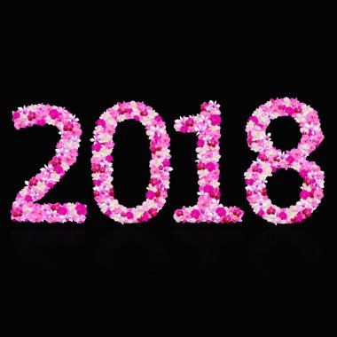  Yıl - siyah arka plan üzerinde orkide numarası ile yapılan 2018 