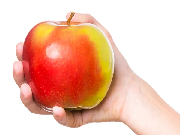 Hånd med frisk æble - Stock-foto