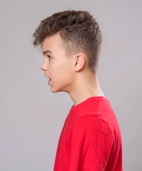 十代男の子の肖像画 — ストック写真