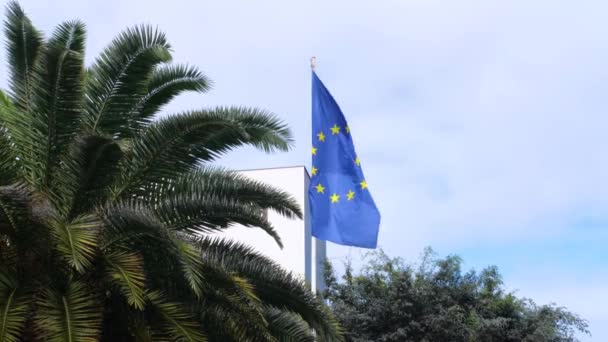 Europeiska unionens flagga viftar i vinden på blå bakgrund bland gröna palmer. — Stockvideo