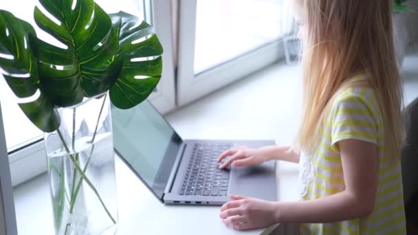 小さなブロンドの女の子はノートパソコンで勉強や遊びをしています。ボタンを指で押せ。デジタル教育。コンピュータ技術、ソーシャルメディア、インターネット。4k映像 — ストック動画