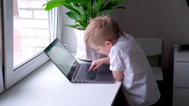 Piccolo ragazzo biondo che digita sul computer portatile della tastiera. premere il dito sui pulsanti. Educazione digitale. Tecnologia informatica, social media e Internet. 4k filmati — Video Stock