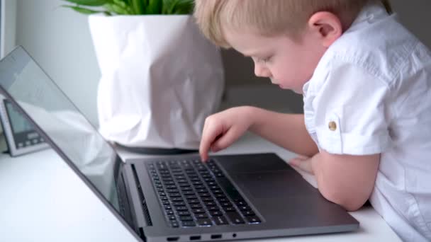 Little blonde boy typing on keyboard notebook computer. press finger on buttons. Digital educations. Computer technology, social media and Internet. 4k footage — Stockvideo