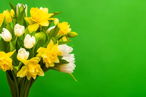 春のグリーティングカード。緑色の背景に白い黄色のチューリップ水仙の花束。イースターと春。女性の日の概念。テキストのコピースペース — ストック写真