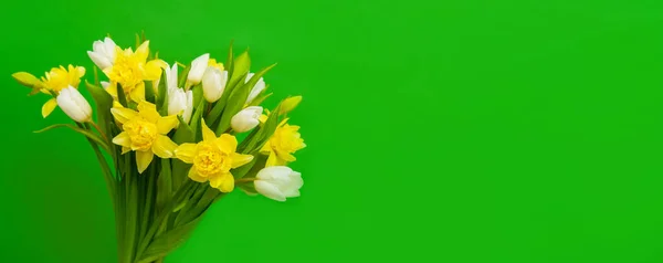 春のバナー。緑色の背景に白い黄色のチューリップ水仙の花束。イースターと春のグリーティングカード。女性の日の概念。テキストのコピースペース — ストック写真