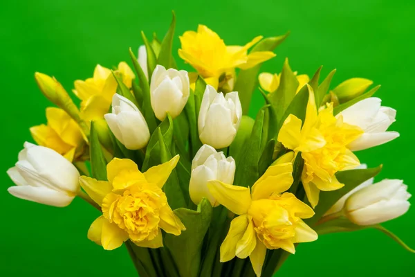 春緑の背景に白い黄色のチューリップ水仙の花束。イースターと春。女性の日の概念。テキストのコピースペース — ストック写真
