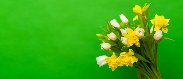 春のバナー。緑色の背景に白い黄色のチューリップ水仙の花束。イースターと春のグリーティングカード。女性の日の概念。テキストのコピースペース — ストック写真