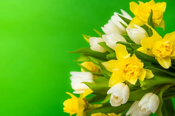 Cartão de saudação primavera. Branco amarelo tulipa daffodil buquê no fundo verde. Páscoa e primavera. Conceito de dia de mulher. Copyspace para texto — Fotografia de Stock