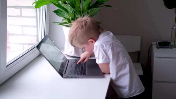 Kleine blonde jongen typt op toetsenbord notebook computer. druk op de knop. Digitale educatie. Computertechnologie, sociale media en internet. 4k-beelden — Stockvideo