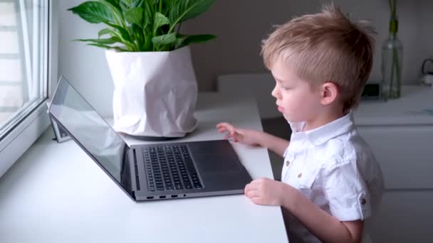 キーボードのノートブックコンピュータに入力する小さなブロンドの男の子。ボタンを指で押せ。デジタル教育。コンピュータ技術、ソーシャルメディア、インターネット。4k映像 — ストック動画