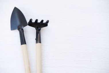 Evdeki bahçe işleri için aletler. Pencere kenarında yiyecek yetiştiriyor. Metin için kopyalanma alanı, üst görünüm. Beyaz ahşap zemin üzerindeki düz alan.