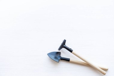 Evdeki bahçe işleri için aletler. Pencere kenarında yiyecek yetiştiriyor. Metin için kopyalanma alanı, üst görünüm. Beyaz ahşap zemin üzerindeki düz alan.