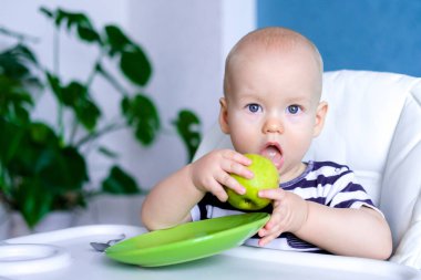 Bebek maması. Yeşil elma sağlıklı yiyecekler yiyen çok tatlı beyaz bir çocuk. Sandalyedeki kameraya bakıyorum. Taze sebzeler ve meyveler. Yeni doğmuş bebekler.