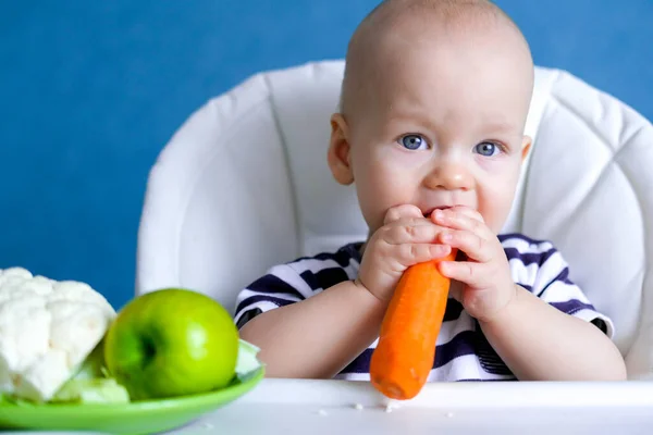 Детское питание. Маленький симпатичный кавказский ребенок ест морковь и зеленое яблоко здоровой пищи. Смотрю на камеру на высоком стульчике. Свежие овощи и фрукты. Новорожденные младенцы — стоковое фото