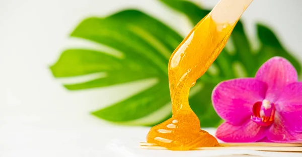 Pasta de azúcar bandera o miel de cera para la eliminación del cabello fluye hacia abajo de palos de espátula de cera de madera. fondo de flores - depilación y concepto de belleza —  Fotos de Stock