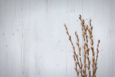 Ahşap arka planda paskalya kedisi söğüdü. Üst Manzara. sp kopyala
