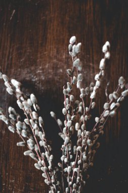 Tahta masa düz manzarasında tatlı söğüt dalları Hello Spring konsepti, ağaç dalları yakın plan. Mutlu Paskalyalar