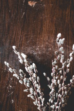 Tahta masa düz manzarasında tatlı söğüt dalları Hello Spring konsepti, ağaç dalları yakın plan. Mutlu Paskalyalar