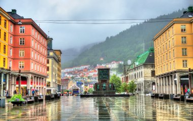 Torgallmenningen, Bergen ana kare görünümü