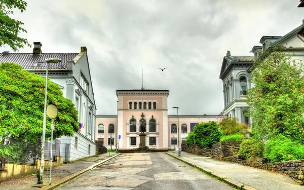 Muzeum Uniwersytetu Bergen - Norwegia — Zdjęcie stockowe