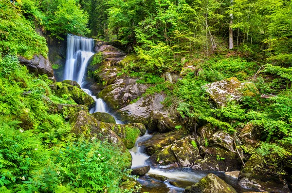Triberg Falls, one of the highest waterfalls in Germany — Stock Photo, Image