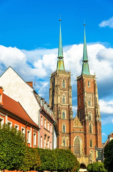 Kathedraal van St. John de Doper In Wroclaw, Polen — Stockfoto