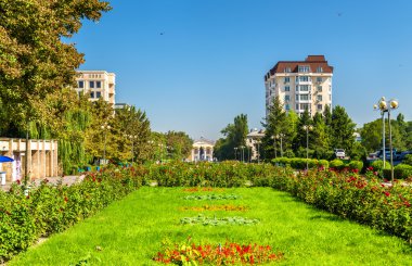 Bişkek, Kırgızistan gençlik sokak