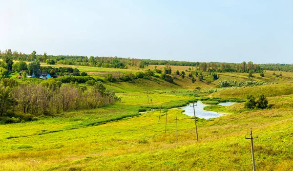 Weide in Bolshoe Gorodkovo - Kursk regio, Rusland — Stockfoto