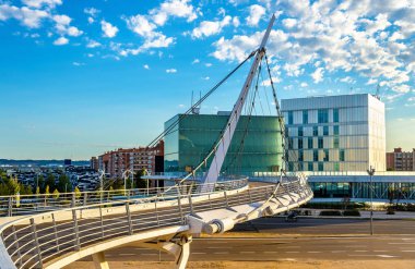 Asma Yaya Köprüsü Zaragoza, İspanya