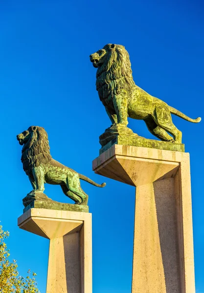 Lion statues at the Stone Bridge in Zaragoza, Spain — Stock Photo, Image