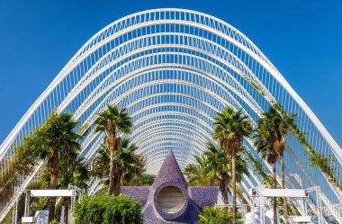 Bitkilerde Umbracle, peyzajlı bir yürüyüş, o şehir sanat ve Bilimler - Valencia, İspanya