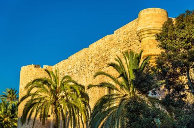 Castillo-Palacio de Altamira in Elche, Spain