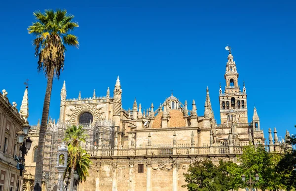 Pyhän Marian katedraali Sevillassa - Andalusia, Espanja — kuvapankkivalokuva