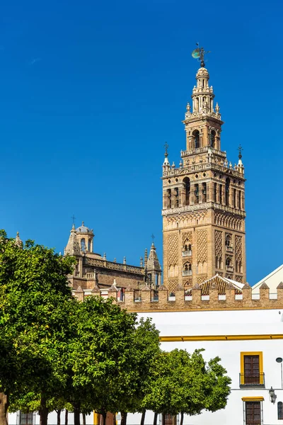 Vista de la Catedral de Sevilla - Andalucía, España —  Fotos de Stock