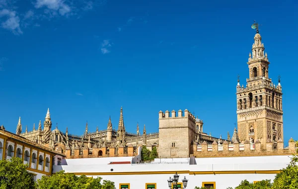 Vista de la Catedral de Sevilla - Andalucía, España —  Fotos de Stock