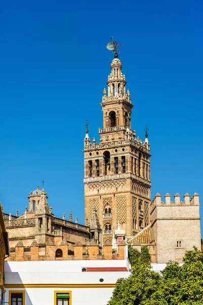 Vista de la Catedral de Sevilla - Andalucía, España —  Fotos de Stock