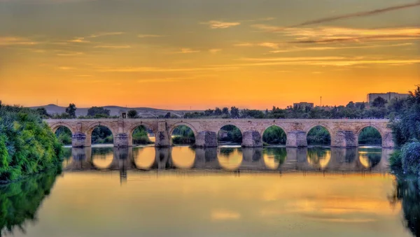 Rzymski most przez rzekę Gwadalkiwir w Kordoba, Spain — Zdjęcie stockowe