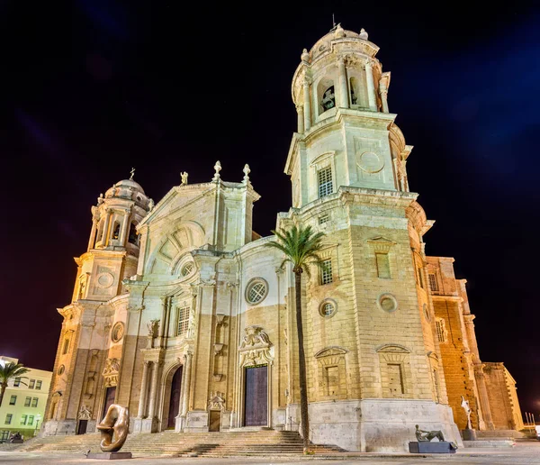 Nachtansicht der Kathedrale von Cadiz - Spanien, Andalusien — Stockfoto